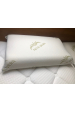 Obrázok pre Vankúš Orthopedic Memory Aloe vera
